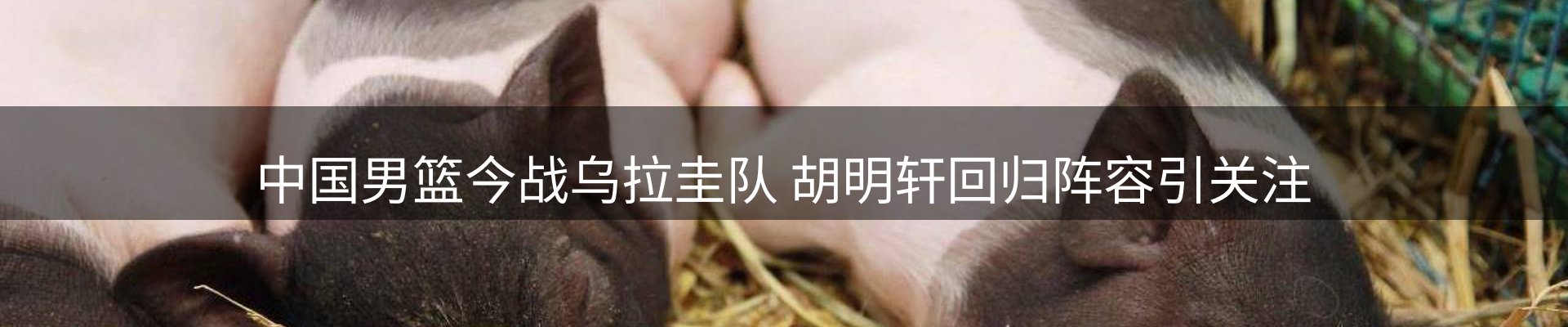 资讯聚合
