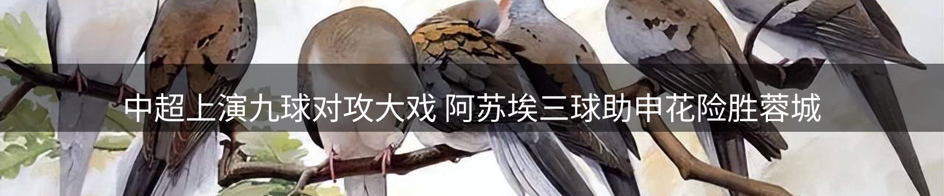 资讯聚合