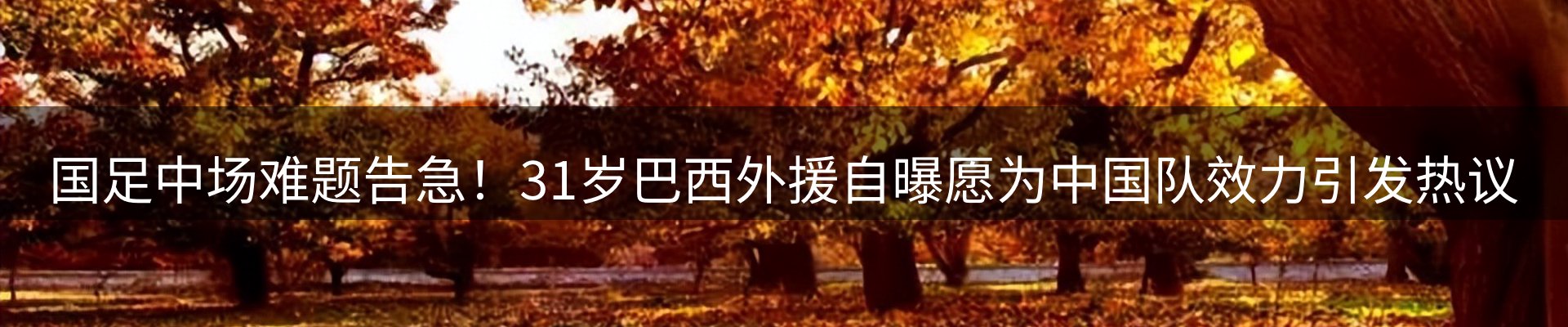 资讯聚合