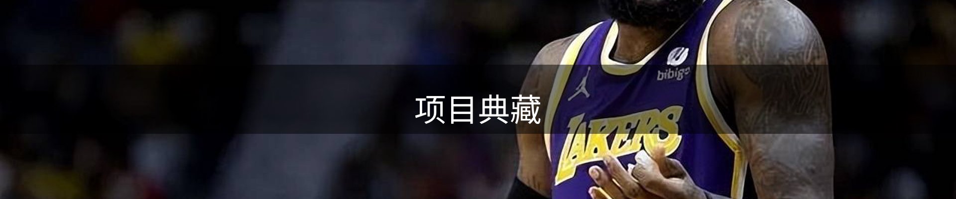项目典藏